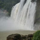 杨红